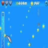Dwonload Dolphin Cell Phone Game